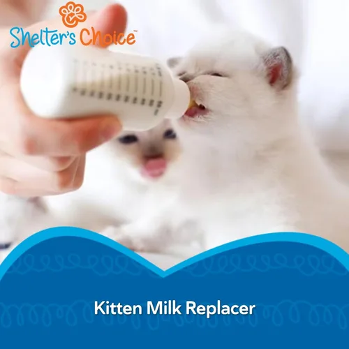 Vista 4 de Revival Animal Health Shelter's Choice Kitten - Reemplazo de leche en polvo, fórmula de leche completa y equilibrada para gatitos y gatos adultos