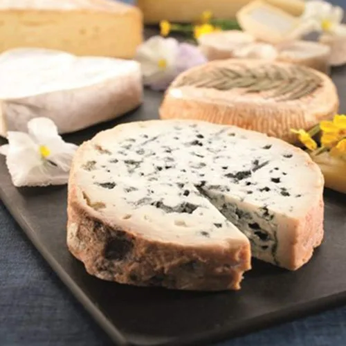 Vista 6 de 5pcs Estera de drenaje/maduración de quesos 8 pulgadas Esteras de secado de queso Equipo de elaboración de queso Fabricación de queso en casa
