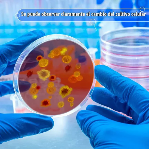 Vista 4 de Paquete de 200 platos Petri de 3.543 in de plástico estéril de agar con tapas a granel Paredes gruesas claras Cultura celular Uso de laboratorio