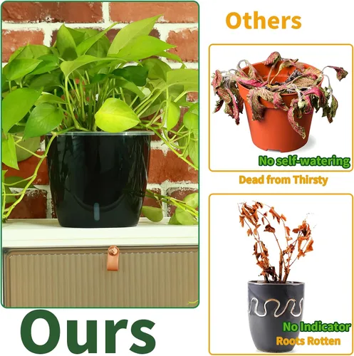 Vista 4 de Planterhoma Macetas de riego automático de 5 pulgadas para plantas de interior, 6 paquetes de macetas de violeta africana con indicador, maceta