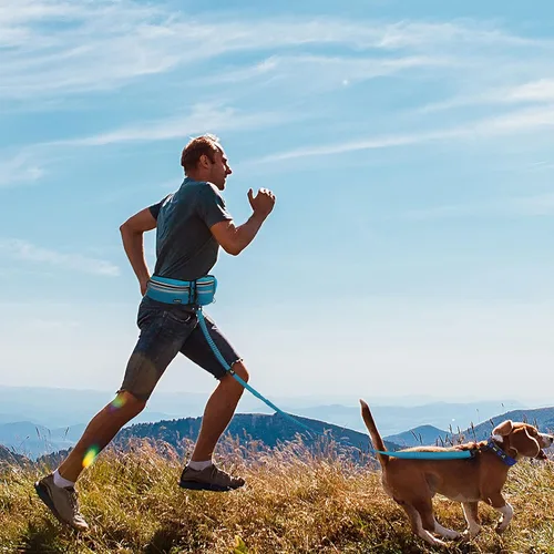Vista 8 de Correa de perro manos libres para perros grandes (Cintura 26-48 pulgadas, L 1 x 5 pies) Cinturón de neopreno ajustable con correa elástica