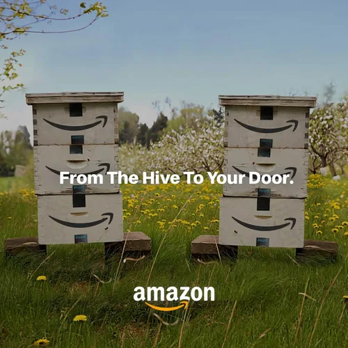 Vista 8 de Tintura de cuentagotas de extracto líquido de propóleo de abeja natural - 1 onza líquida