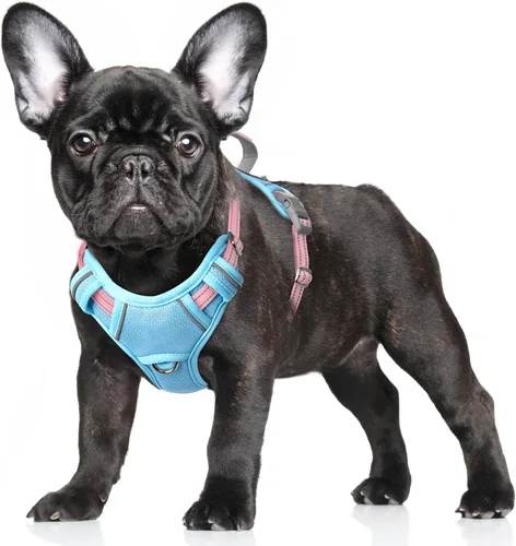 Vista 100 de BARKBAY Arnés para Perro Sin Tirones Talla Grande Arnés Reflectante para Perro con Clip Frontal y Asa de Control Fácil para Caminar Entrenar Correr