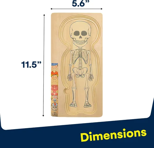 Vista 9 de Kidzlane Boy Wooden My Body Puzzle for Toddlers & Kids - 29 Piece Boys Anatomy Puzzle Kid Play Set - Anatomy for Kids, Skeleton Toys for Children