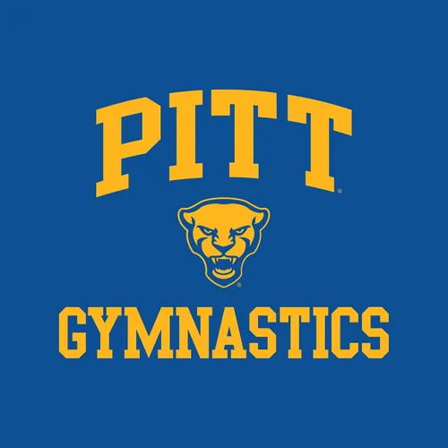 Vista 18 de NCAA Arch Logo Gimnasia, camiseta de color del equipo, universidad, universidad