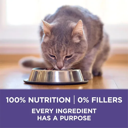 Vista 7 de Purina ONE Hairball Formula, alimento para gatos premium, Fórmula para bolas de pelo