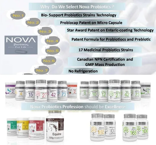 Vista 3 de NOVA Probiotics Vegan Xtreme Care 165 mil millones de probióticos por cápsula-30 VCaps