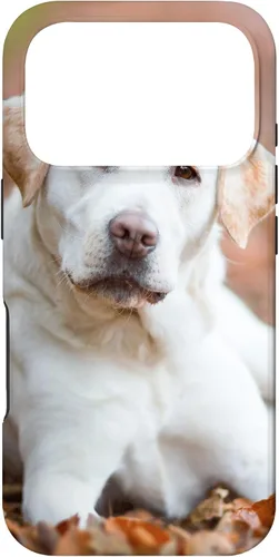 Vista 30 de Labrador Retriever Dog Lover - Carcasa para iPhone 17