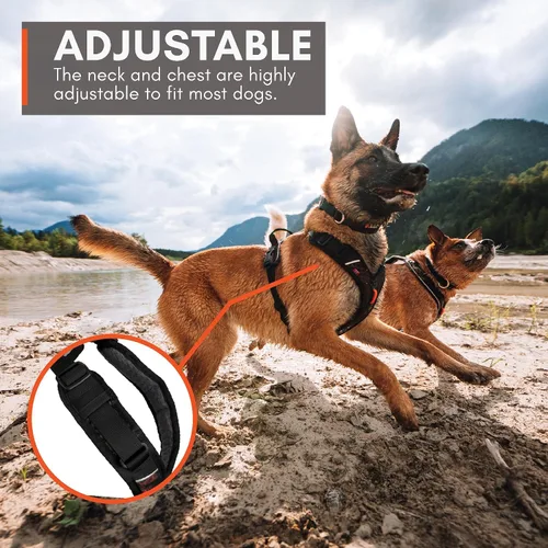 Vista 7 de Non-stop dogwear Rock Arnés ajustable para perros pequeños con 3 clips para correa, asa y reflectante, negro/naranja, talla XS