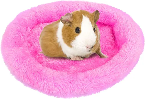 Vista 11 de FEBSNOW Cama de conejillo de indias y hámster para animales pequeños con cepillo removedor de pelo