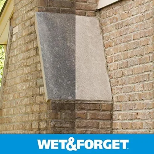 Vista 8 de Wet & Forget Molde de musgo para exteriores, removedor de manchas de hongos y algas, 2 x 0.75 galones