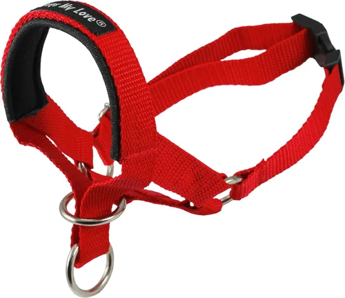 Vista 2 de Perro cabeza cuello halter rojo 6 Tamaños, Rojo