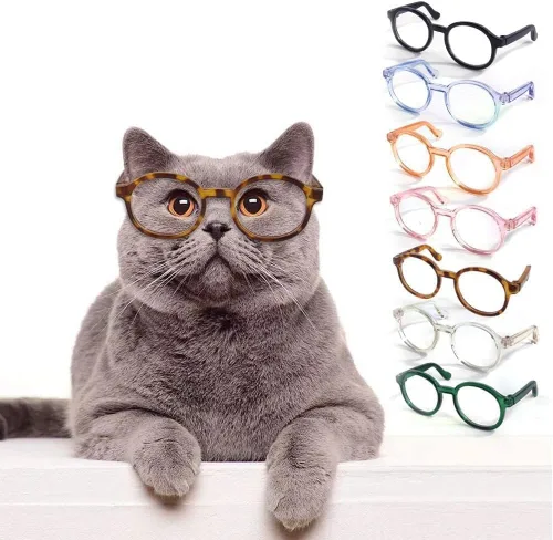 Vista 4 de Lindos lentes circulares para perros y mascotas, lentes transparentes, lentes retro, accesorios para fotos, gafas de sol transparentes para gatos
