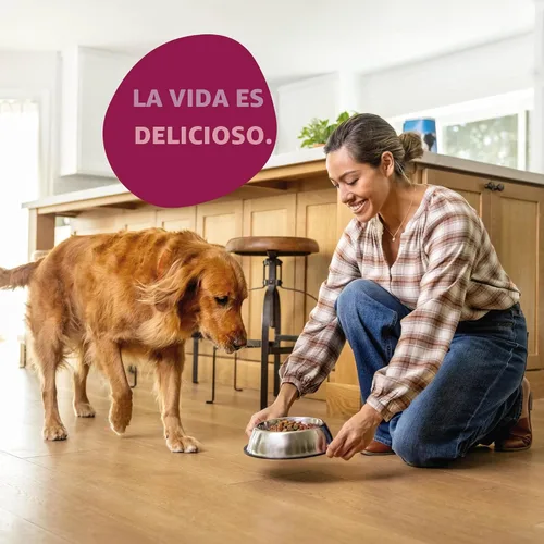 Vista 6 de Kibbles 'n Bits Alimento seco para perros, sabroso sabor a tocino y bistec para perros adultos, bolsa de 3.5 libras
