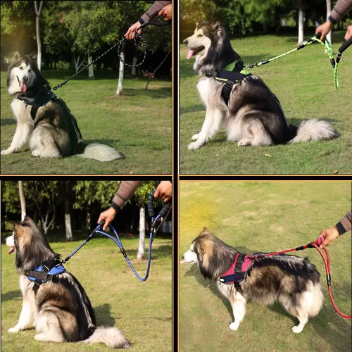 Vista 3 de Love Dream Correa para perro de 5 pies de largo con 2 cómodas asas acolchadas, hilos reflectantes con doble asa para control de seguridad, correa