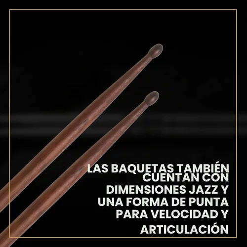 Vista 4 de Zildjian Baquetas ZASTG Trilok Gurtu Artist Series