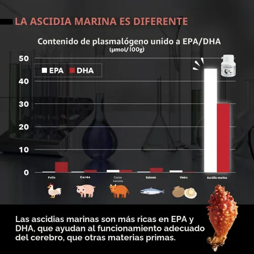 Vista 4 de Suplemento de Plasmalógeno REMORY de Ascidia de Mar - Suplemento para la Salud Cerebral - Suministro de 30 Días