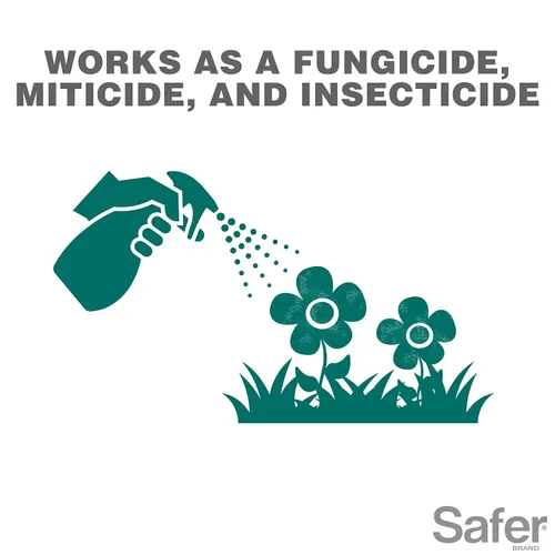 Vista 2 de Safer Brand Neem Concentrado de aceite – insecticida, acicida y fungicida para plantas – Mata insectos y ácaros, controla enfermedades fúngicas