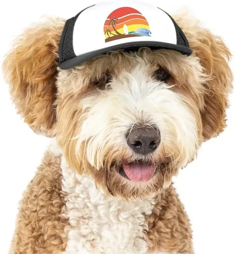 Vista 12 de Sunset Collection, sombreros de camionero de PupLid para perros (XXS) Protección solar elegante de alta calidad para el perro moderno, ajustable