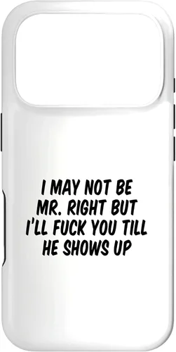 Vista 30 de I May Not Be Mr. Right But I’ll Fuck You Till He Shows Up Case for iPhone 17