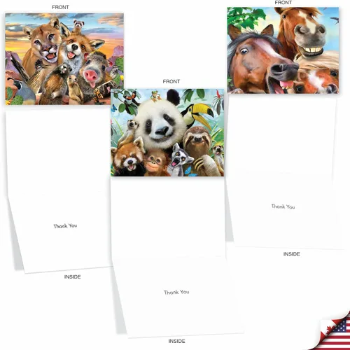 Vista 4 de The Best Card Company - 10 tarjetas de felicitación de agradecimiento de vida silvestre con sobres, papel de notas en caja de animales lindos - Aquí
