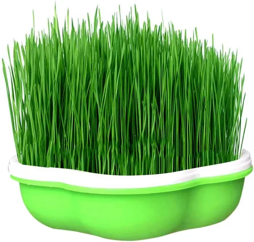 Vista 9 de Bandeja para germinar semillas con tapa, forma libre de suciedad y capacidad portátil, sin BPA, verde (1 unidad)