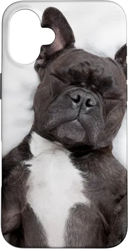 Vista 23 de Carcasa gráfica de Bulldog Francés para iPhone 17