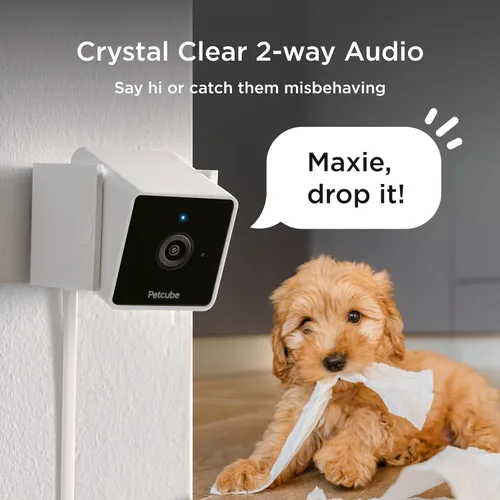 Vista 3 de Petcube Cam Cámara Wi-Fi interior para mascotas y de seguridad con aplicación para teléfono, monitor de mascotas con audio y video bidireccional