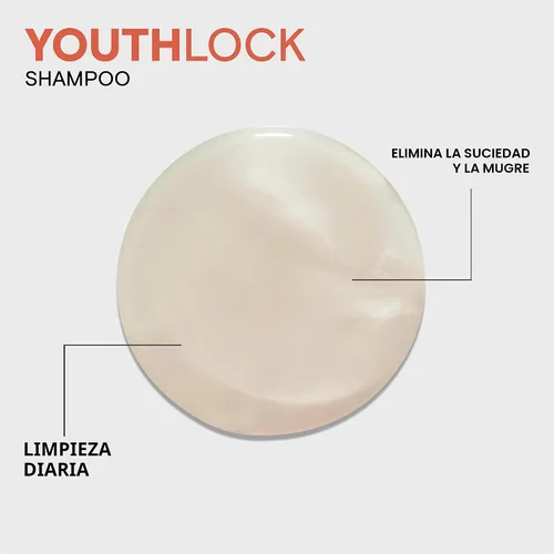 Vista 4 de Joico YouthLock Shampoo Formulated with Collagen Youthful Bounce