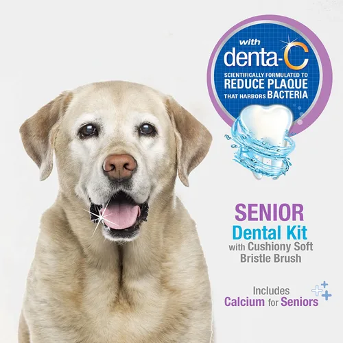 Vista 2 de Nylabone Advanced Oral Care - Kit dental para perros mayores con cepillo de dientes de cerdas suaves y acolchadas, 3