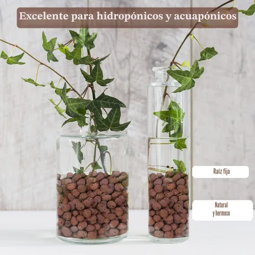 Vista 6 de Legigo Guijarros de arcilla Leca de 2 libras para plantas, bolas de arcilla