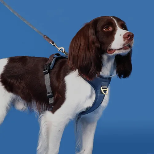 Vista 2 de Arnés para perro sin tirones de tamaño pequeño, elegante chaleco de piel sintética con asa de fácil control, clip frontal sin estrangulamiento con 2