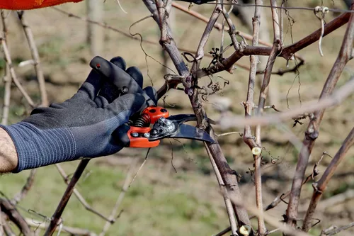 Vista 4 de ERGO? Tijeras de podar de derivación media de 1.181 in con mango giratorio recubierto de elastómero
