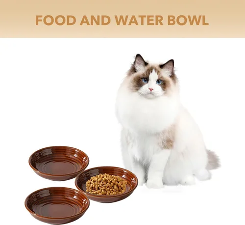 Vista 4 de Havniva Platos de cerámica anchos para gatos con protección para bigotes, juego de 3 tazones de cerámica para gatos, plato antideslizante