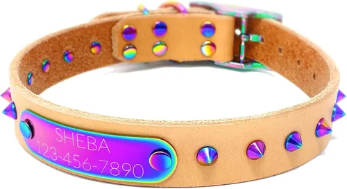 Vista 10 de Collar de perro de cuero con brida hecha a mano, grabado arco iris de acero inoxidable (negro)