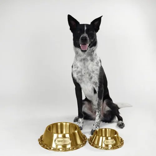 Vista 6 de Snoop Doggie Doggs Cuenco para mascotas Off The Chain Deluxe
