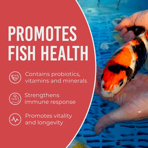 Vista 6 de Blue Ridge comida para peces Koi 2 libras - Fórmula de crecimiento mini para peces Koi, comida para peces dorados, comida premium para peces