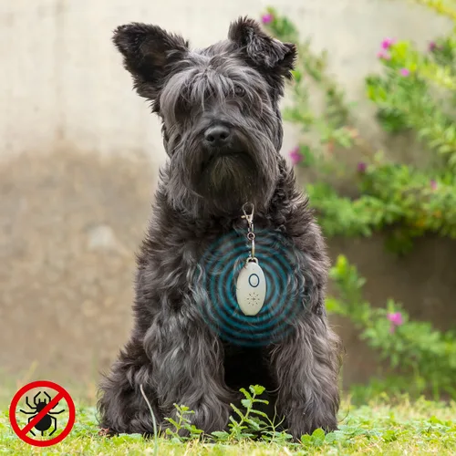 Vista 2 de Antiparásitos por Ultrasonidos Recargable para Mascotas PetRep InnovaGoods