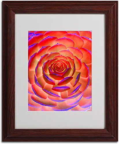 Vista 2 de Trademark Fine Art Arte de plantas en arte enmarcado mate por Patty Tuggle en marco de madera, 11 x 14 pulgadas
