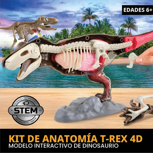 Vista 2 de Discovery Kit de anatomía T-Rex 4D, figura de rompecabezas de dinosaurio jurásico, modelo interactivo de arqueología y paleontología, aprende
