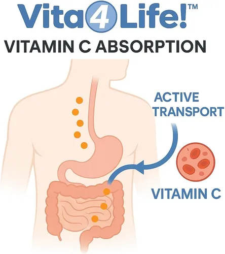 Vista 5 de Vitamina C - Fórmula completa para estimular el sistema inmunológico 120 cápsulas