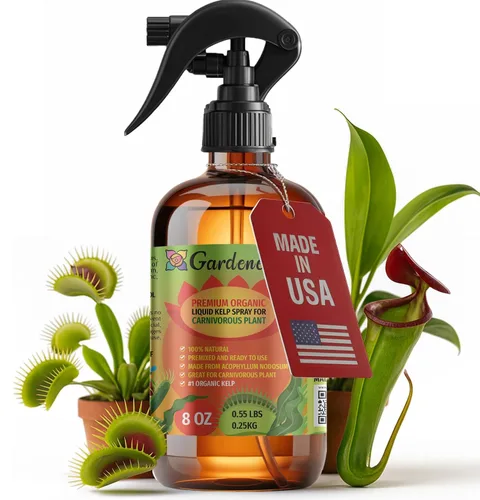 Vista 30 de GARDENERA Spray orgánico profesional de algas marinas para plantas AGLAONEMA – 8 oz – Rocío fertilizante de algas marinas y algas marinas totalmente