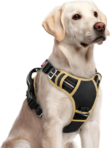 Vista 69 de Rabbitgoo - Arnés para perro de tamaño pequeño, sin tirones, 3 hebillas, fácil de poner y quitar Negro