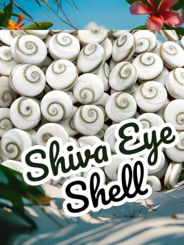 Vista 7 de ABCGEMS Shiva Eye Shell Beads Indonesia Auténtica Región Indo-Pacífico (patrón geométrico de matriz de doble cara) de origen ético – Producción