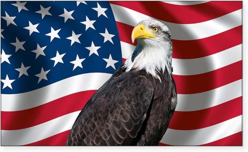Vista 7 de CafePress Drummer - Adhesivo rectangular para parachoques con la bandera de Estados Unidos