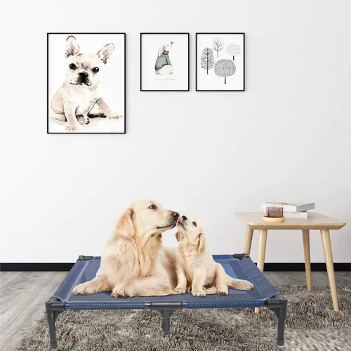 Vista 7 de suddus Cama elevada para perros impermeable al aire libre, cama elevada portátil para perros, camas para perros fuera del suelo, cama para perros