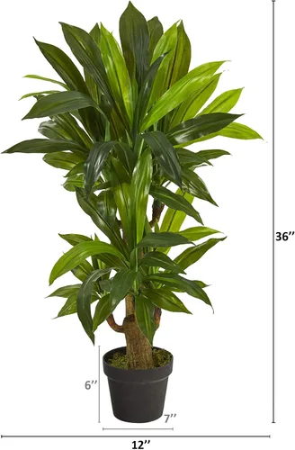 Vista 2 de Nearly Natural Planta artificial Dracaena de tallo de maíz de 3 pies (tacto real)