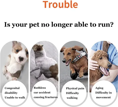 Vista 7 de Silla de ruedas para perro de 4 ruedas para patas traseras, carritos ajustables para perros con ayuda para la movilidad para caminar, recuperar