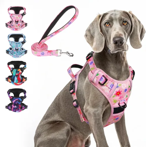 Vista 25 de BEAUTYZOO Arnés para perro sin tirones pequeño, juego de arnés y correa ajustable para perro - Fácil de usar con 3 hebillas/mango de control, arnés