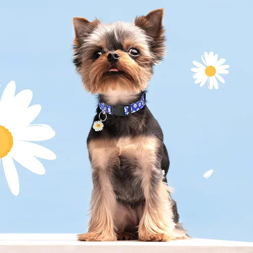 Vista 2 de Collares florales para perros grandes, collares suaves y lindos para perros y niñas, collar de flores bonitas con dijes de margaritas, regalo